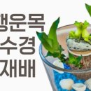 봉의초등학교 병설유치원 네이버블로그