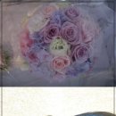 정미연헤어 - 성남시 중원구 희망로 413 | 정미연헤어