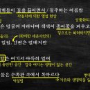 아마존수족관 - 김해시 금관대로 1199 | 아마존수족관