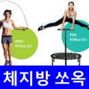 굿데이점핑 이미지