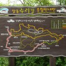 산디 티스토리