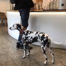 해피마트 이미지