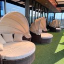 댕그리 | (솔직후기)댕그린_김포 대형 천연잔디 운동장 강아지 애견카페_브런치 식사 가능