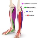 하늘벗한의원 이미지