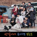 반달이네 유기견보호소 봉사후기 2부 : 왜 때문이죠 ?