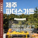 감산2교차로(우리가든) 2 | 제주도 겨울여행 파더스가든 강아지 동반