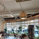 바운스빈스(Bounce Beans) | 울산 신상카페 힐링되는 카페,바운스빈스