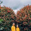 신행농장 이미지