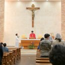 (홍)주님 수난 성지 주일 성지가지 축성 이미지