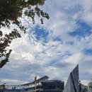 태생파크 | KBO프로야구 삼성VS 창원NC파크 3루 내야석 117구역 7열 4번 직관시야 ( 수아레즈선발 3대1승)_220913