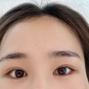 이끌립
