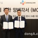 글로벌F&C