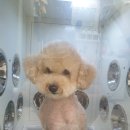 어서왈왈 이미지