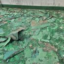 영진종합공사 | 남포동 옥상방수 후기, 직접 맡겨보니 왜 영진종합방수인지 알겠더라고요