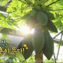 청아영농조합법인
