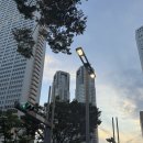 미드나잇도쿄 | 도쿄도청 전망대 야경 보러 가는법 시간! 여전히 무료 관광지, 웨이팅은?