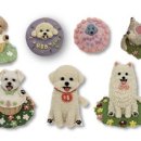 꼬리별펫케이크 이미지