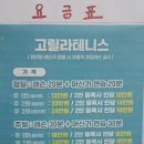고릴라테니스