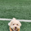 멍이옷