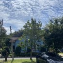 파주골토속촌 이미지