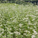 명지농장 이미지