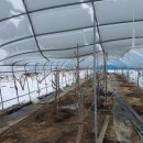 행선농장 이미지