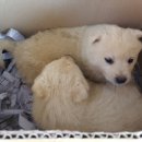 산골농부네 이미지