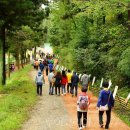 모암축제장 화장실 이미지