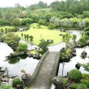 녹차분재로 이미지