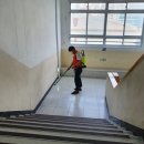 일광방역