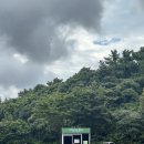 비자숲민박 | [제주도]제주 동쪽 코스 여행 비자림/비자림국수집/코난해변스노쿨링/사사키키식당/코난해변 샤워장 정보