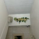 로윅(LOWIC) 이미지