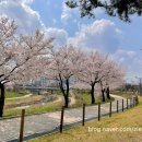 상서재1로 이미지