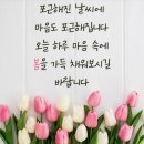 대치포레나공인중개사사무소 | [채권추심] 못받은돈 받아드립니다. (feat.신용정보회사)