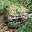 녹유정교육농장 이미지