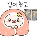 호노골 캠핑장 이미지