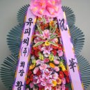 유피씨 티스토리