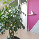 에프엠3차 이미지