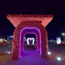 제15회 청송사과축제 이미지