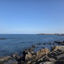 제주기사 | 제주도 카니발 대여 기사포함 제주 웨딩촬영 후기