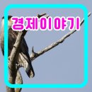 고려쇼핑센터 이미지