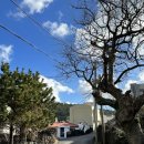 홀드인함덕 이미지