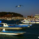 갈매기놀이터 이미지