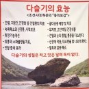 푸른건강원 | [내돈내산] 간에 좋은 다슬기엑기스, 다슬기즙 잘하는 영월 이삭건강원