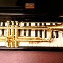 골드피스톤 이미지