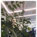 제이스타짐 이미지