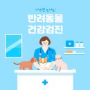미래동물병원 이미지
