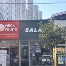 샐러디보령 | 맛있게 다이어트하기 “샐러디 보령동대점“ 샐러드후기