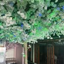 장제로 730번길 | 작전동술집 고주망태 정말 안주 최강맛집 인정!!