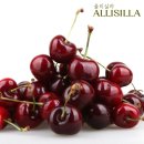 주식회사 팜 이미지